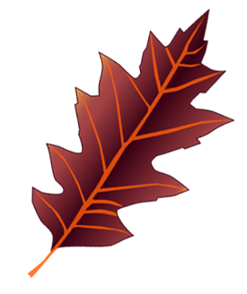 Colorful Oak Leaf Drawing