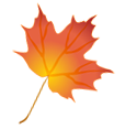 Colorful Maple Leaf Border