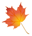 xolorful Maple Leaf Border