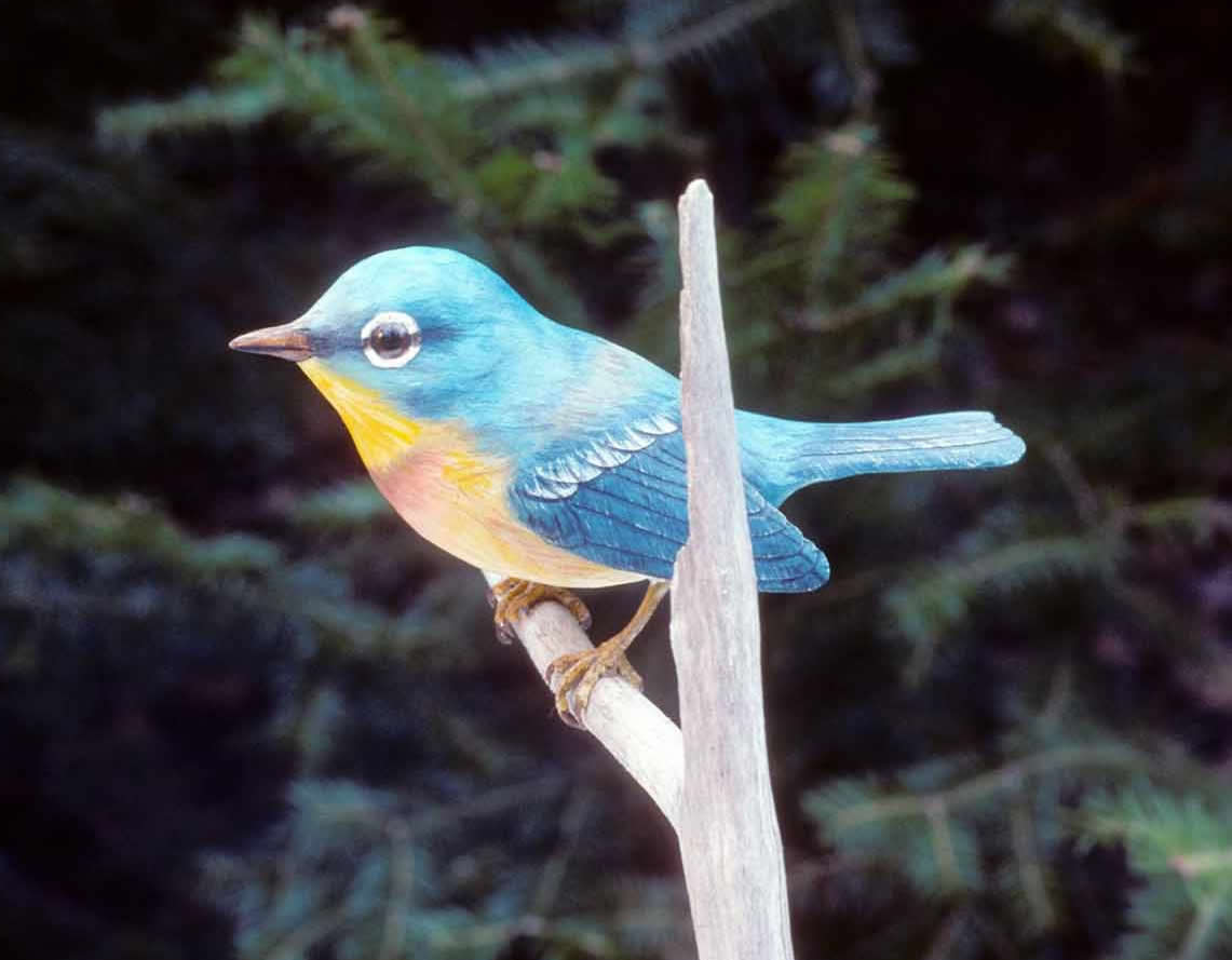 Bluebird