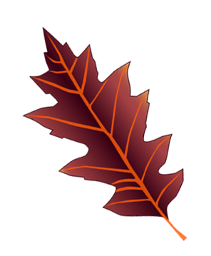 Oak Leaf Drawing