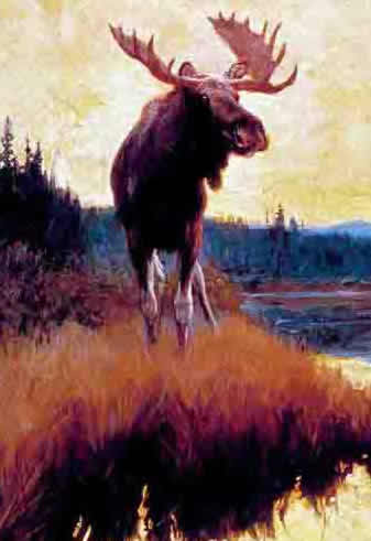 Moose